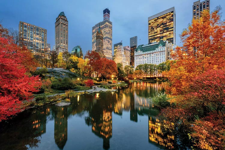 Central Park  by Susanne Kremer wall art