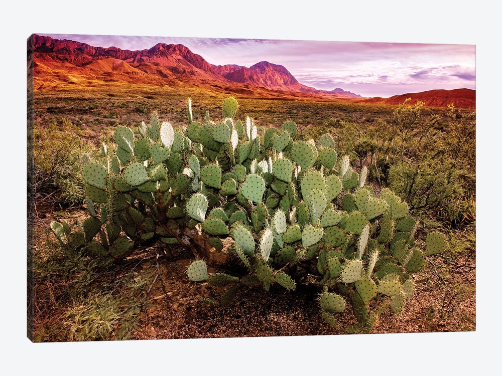 Chisos Mountains with Prickly Pear Cactus I by Susanne Kremer 1-piece Canvas Print