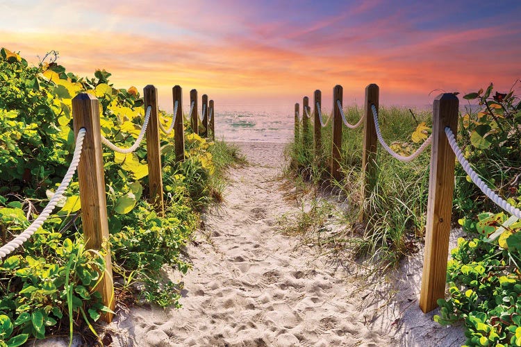 The Path To The Beach At Sunrise