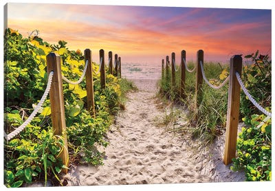 The Path To The Beach At Sunrise Canvas Art Print - Golden Hour