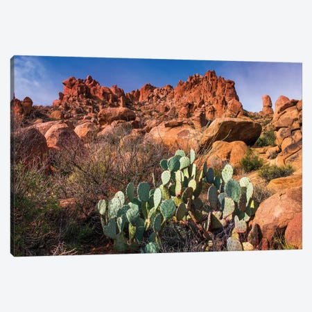 Chisos Mountains with Prickly Pear Cactus II Canvas Print #SKR38} by Susanne Kremer Canvas Print