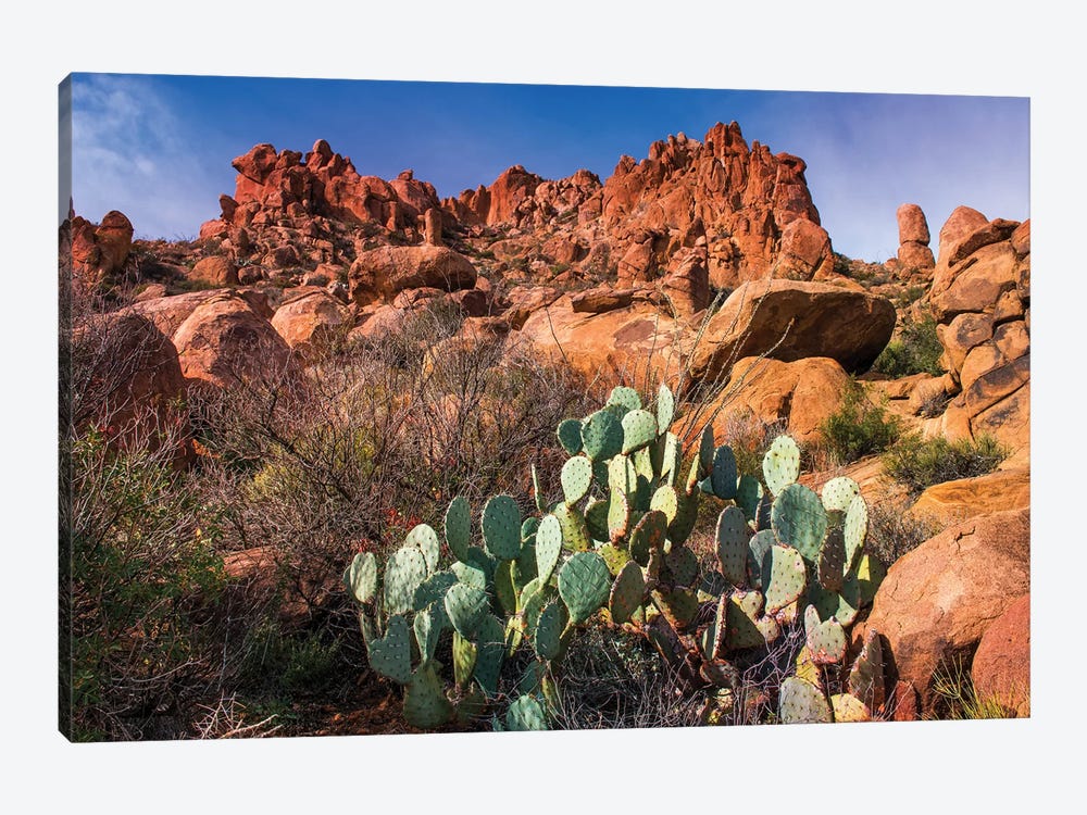 Chisos Mountains with Prickly Pear Cactus II by Susanne Kremer 1-piece Canvas Artwork