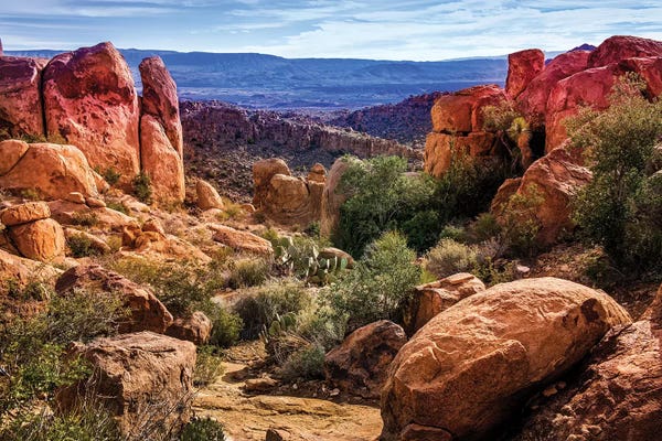 Desert: Chisos Mountains with Prickly Pear Cactus III  by Susanne Kremer