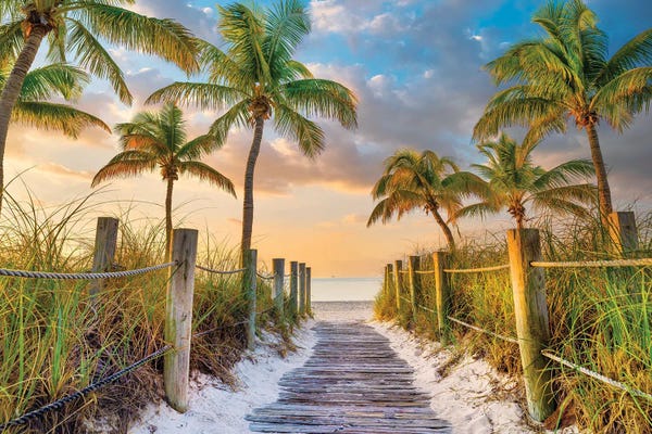 Large Floral & Botanical Art - Canvas Prints: Tropical Beach Sunrise Key West Florida by Susanne Kremer