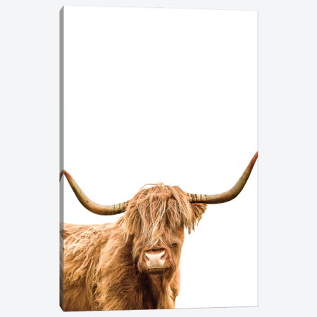 Looking At You I, Scottish Highland Cow Canvas Print #SKR431} by Susanne Kremer Canvas Art