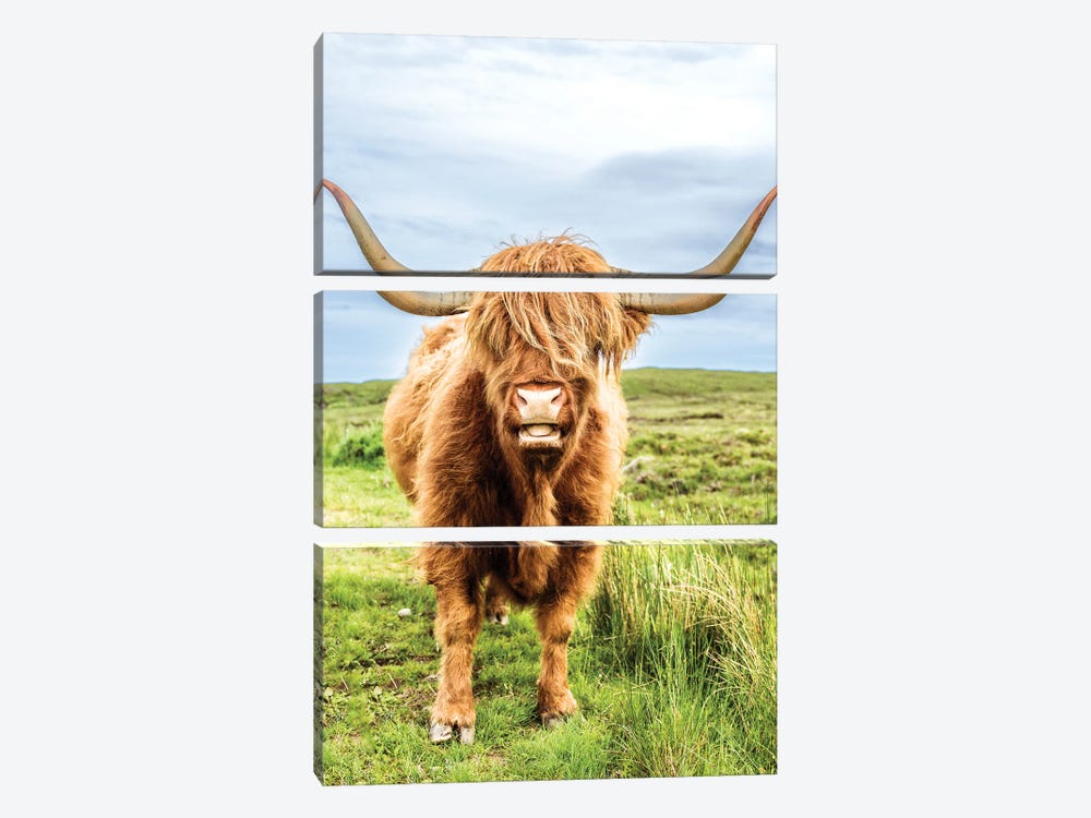 Fluffy Baby Highland Cow, Scotland by Susanne Kremer 3-piece Art Print