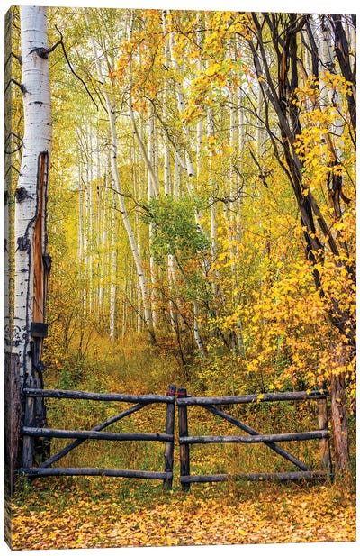 The Colorado Gate, Colorado Canvas Art Print - Susanne Kremer