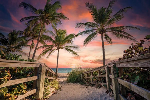 Florida: Beach Paradise South Florida by Susanne Kremer