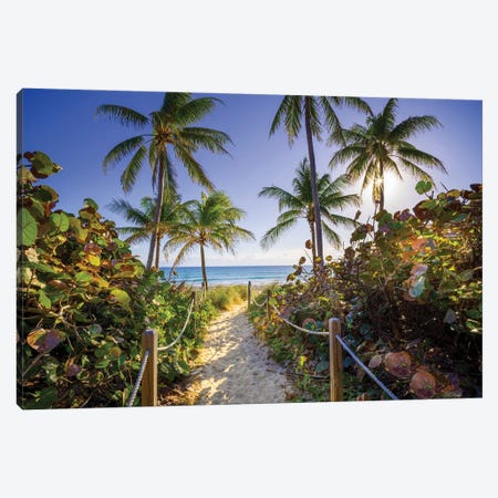 Sandy Path With Palm Trees , Beach South Florida Canvas Print #SKR440} by Susanne Kremer Canvas Print