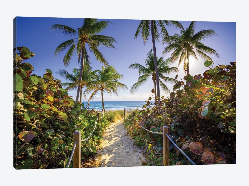 Sandy Path With Palm Trees , Beach South Florida by Susanne Kremer 1-piece Canvas Art