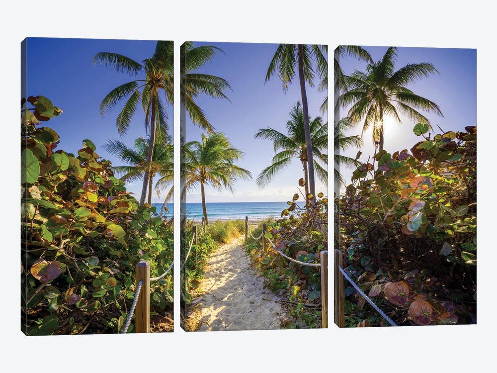 Sandy Path With Palm Trees , Beach South Florida by Susanne Kremer 3-piece Canvas Art