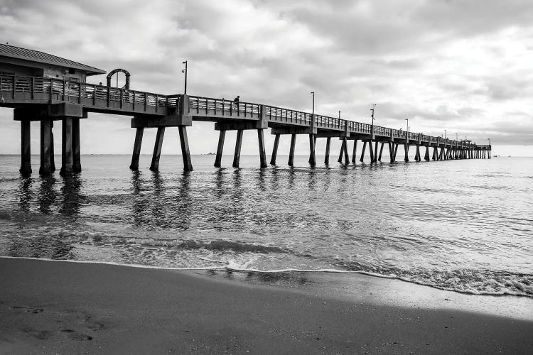 Moody Black And White,Beach Pier,South Florida