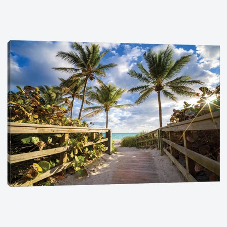 Beach Path Framed With Palm Trees, South Florida Canvas Print #SKR449} by Susanne Kremer Canvas Art Print