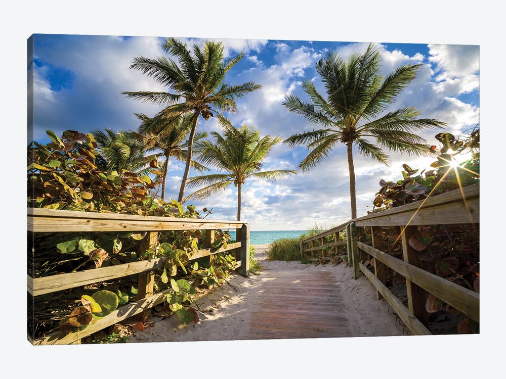 Beach Path Framed With Palm Trees, South Florida by Susanne Kremer 1-piece Canvas Art Print
