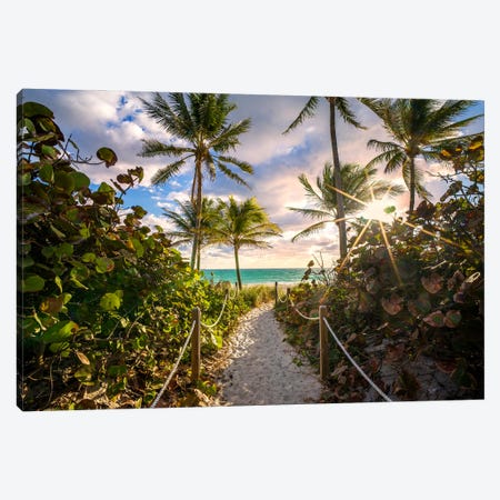 Natural Beach Entrance Early Morning Framed With Palm Trees,Miami Florida Canvas Print #SKR450} by Susanne Kremer Canvas Wall Art