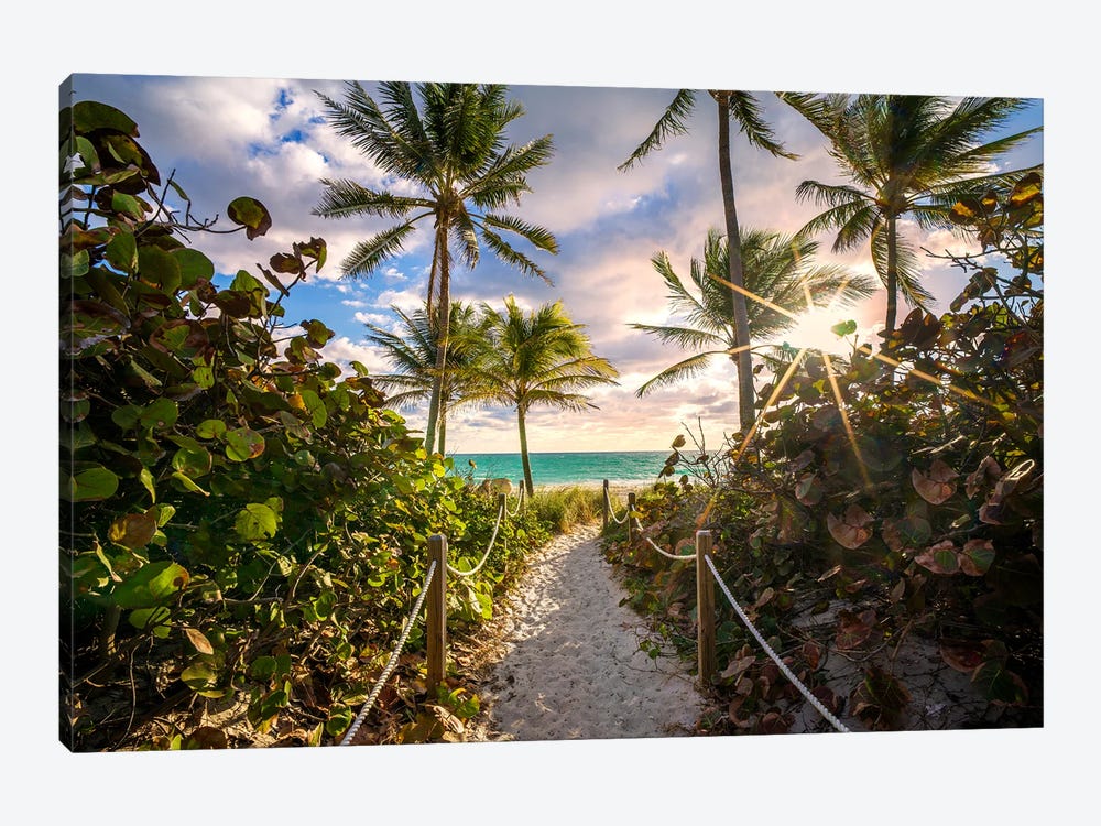 Natural Beach Entrance Early Morning Framed With Palm Trees,Miami Florida by Susanne Kremer 1-piece Canvas Print