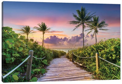 Wooden Beach Path and Palm Trees at Sunrise, Miami Florida Canvas Art Print - Florida Art