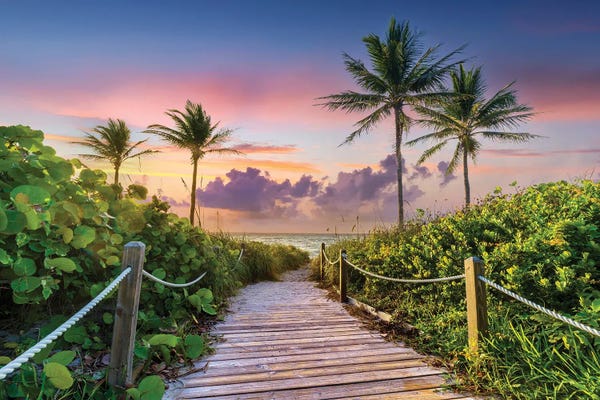 Tropical Beaches: Wooden Beach Path and Palm Trees at Sunrise, Miami Florida by Susanne Kremer