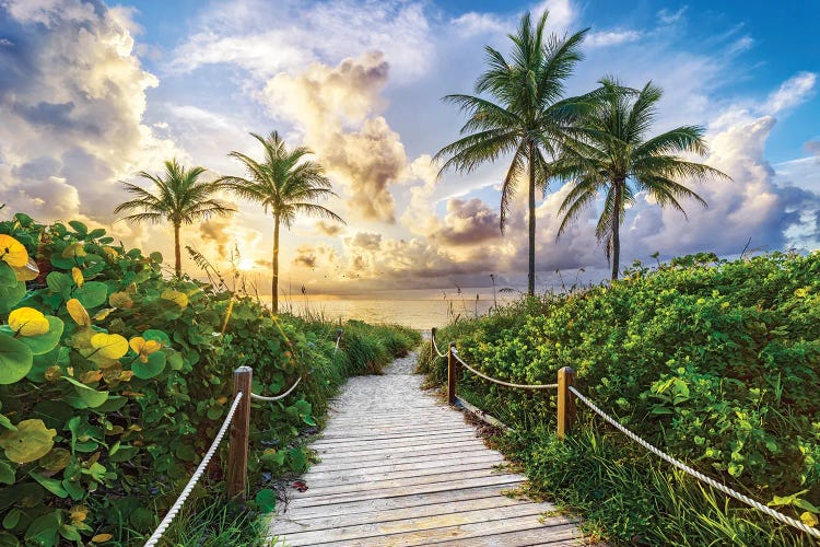 Tropical Florida Beach Summer Sunrise by Susanne Kremer wall art