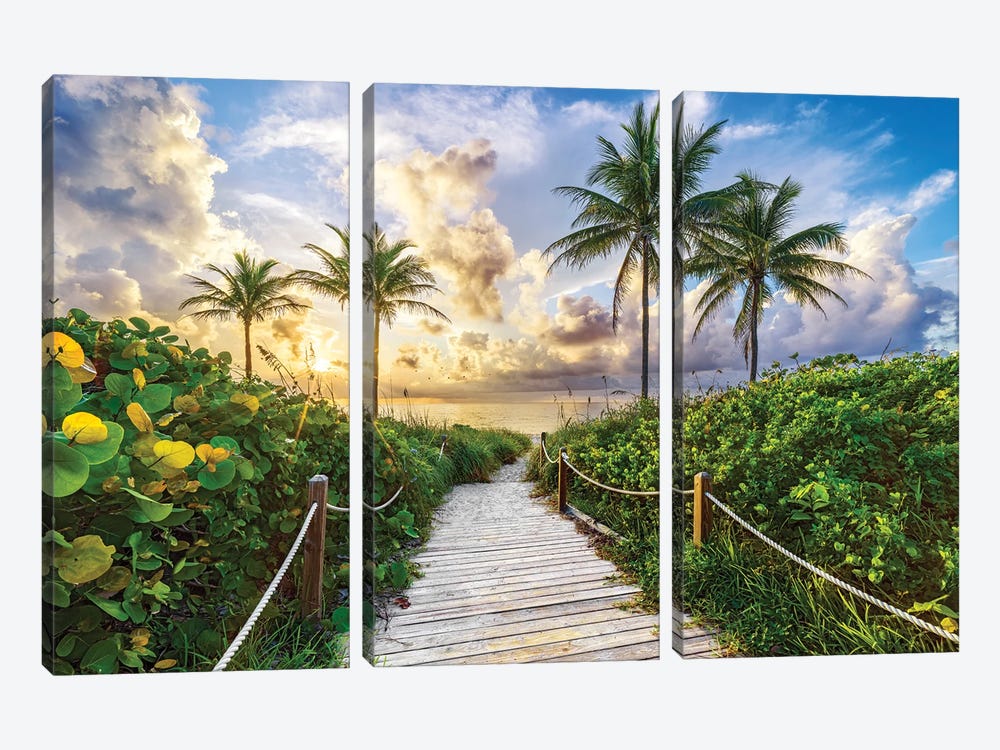 Tropical Florida Beach Summer Sunrise by Susanne Kremer 3-piece Canvas Print