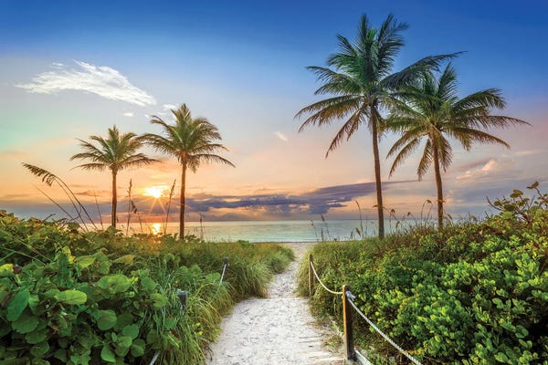 Places: Relaxing Florida Beach Summer Sunrise by Susanne Kremer