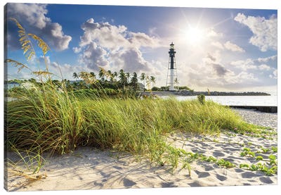 Sand Dunes At  Hillsboro Beach Lighthouse, Florida Canvas Art Print - Sandy Beach Art