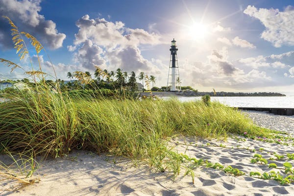 Large Photography - Canvas Prints: Sand Dunes At  Hillsboro Beach Lighthouse, Florida by Susanne Kremer