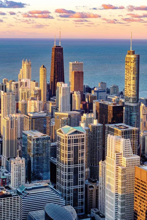Downtown Chicago Skyline  by Susanne Kremer wall art