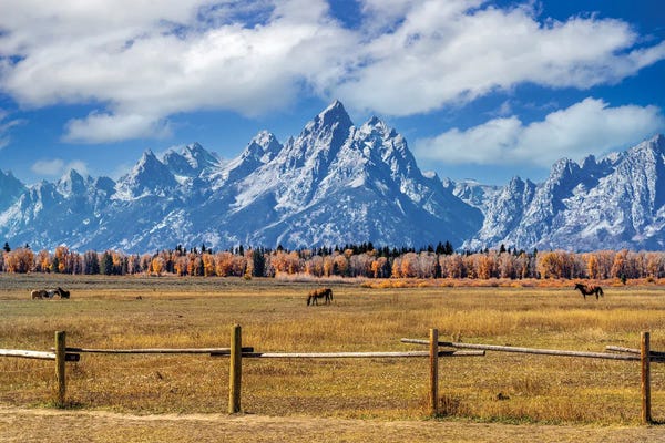 Rocky Mountains: Grand Teton Ranch by Susanne Kremer