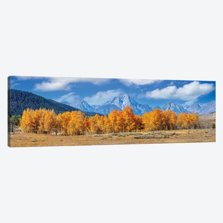 Grand Teton With Aspen Trees Autumn Panoramic View Canvas Print #SKR589} by Susanne Kremer Canvas Wall Art