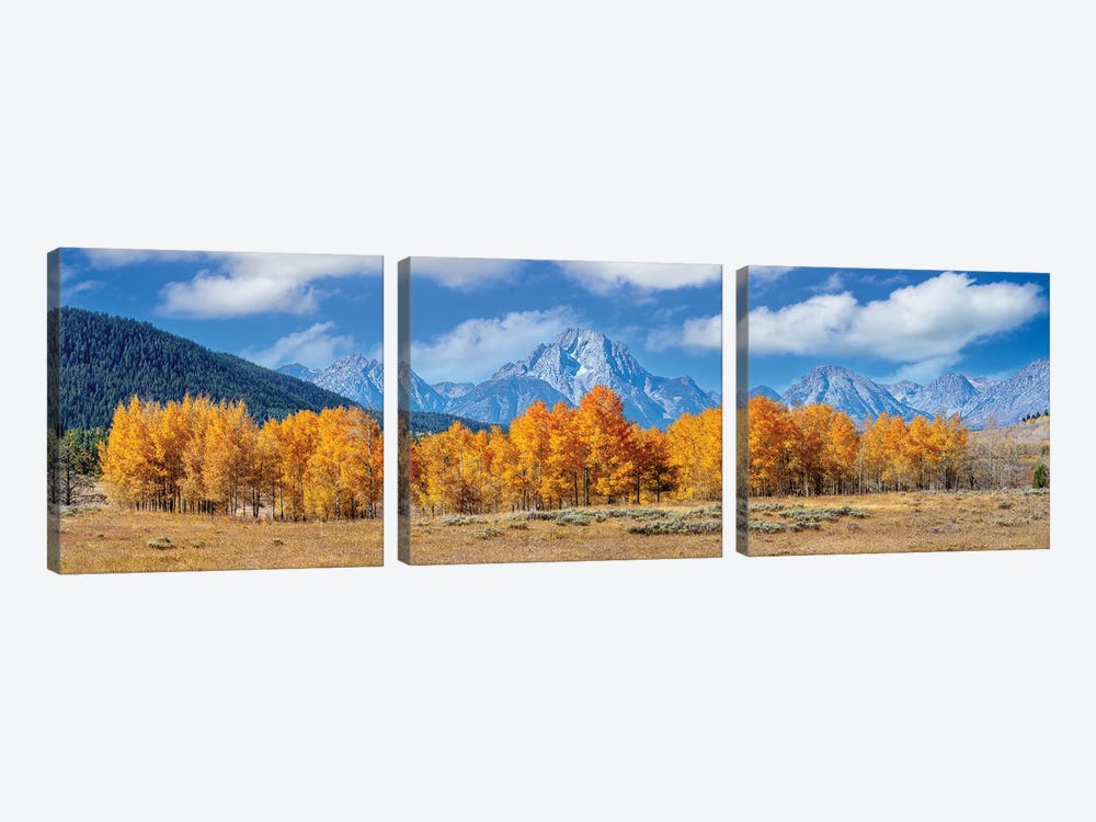 Grand Teton With Aspen Trees Autumn Panoramic View by Susanne Kremer 3-piece Canvas Wall Art