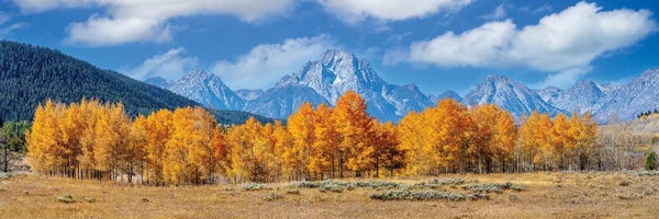 Rocky Mountains: Grand Teton With Aspen Trees Autumn Panoramic View by Susanne Kremer
