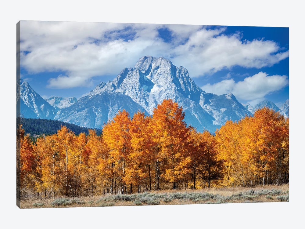 Wyoming With Aspen Trees by Susanne Kremer 1-piece Canvas Artwork