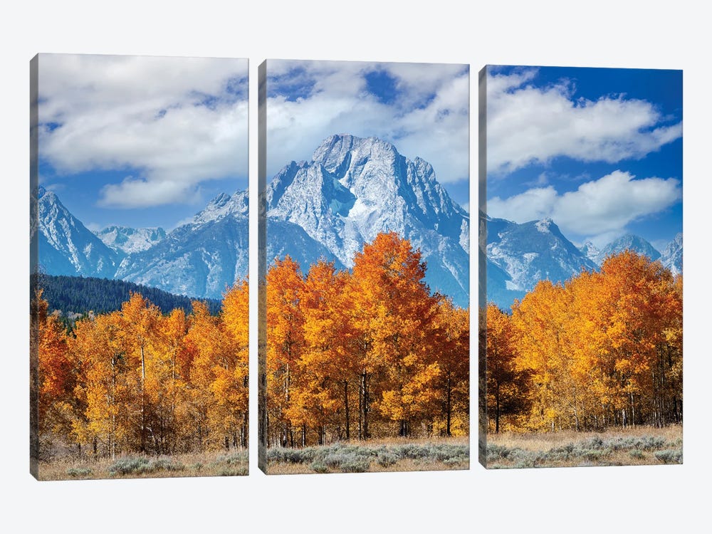 Wyoming With Aspen Trees by Susanne Kremer 3-piece Canvas Wall Art
