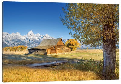 Grand Teton Calmness Canvas Art Print - Wyoming Art