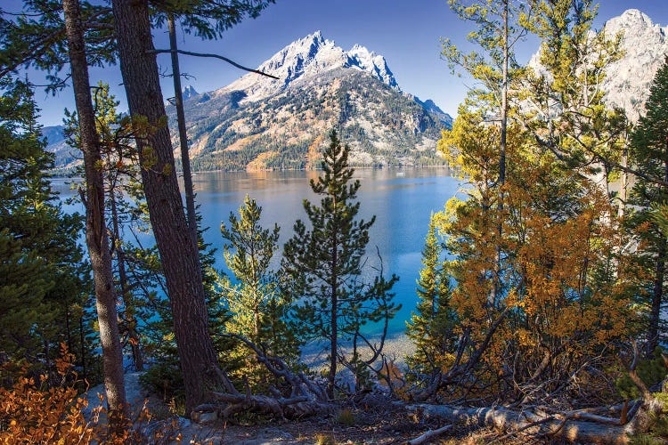 Jenny Lake Grand Teton