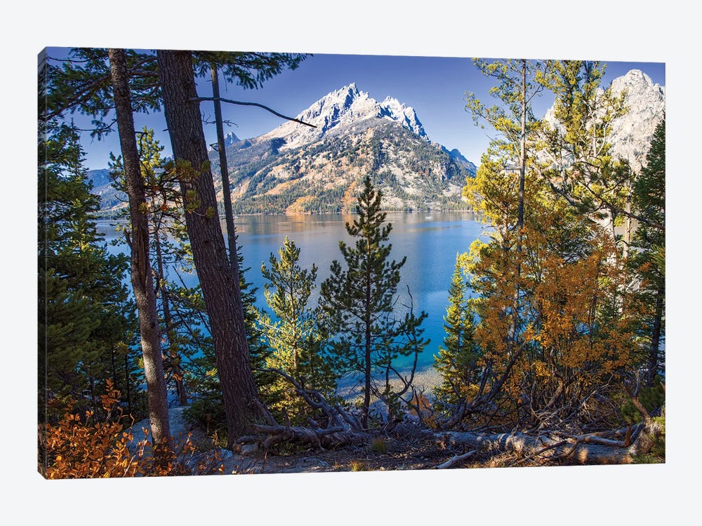 Jenny Lake Grand Teton 1-piece Canvas Art