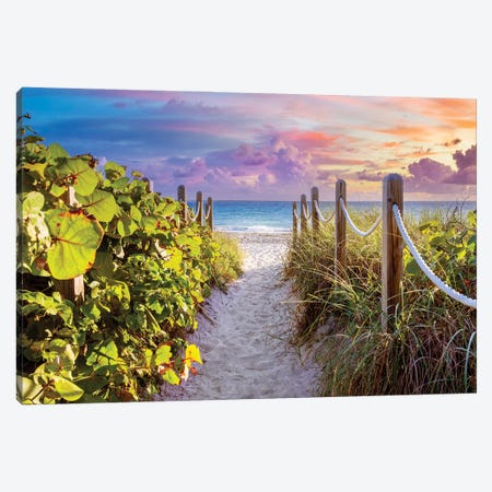 Sandy Beach Path With Seagrapes And Grass At Sunrise, Florida Canvas Print #SKR669} by Susanne Kremer Canvas Print