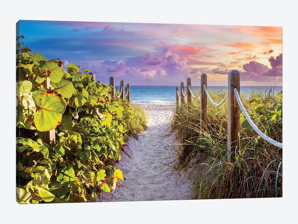 Sandy Beach Path With Seagrapes And Grass At Sunrise, Florida by Susanne Kremer 1-piece Canvas Artwork