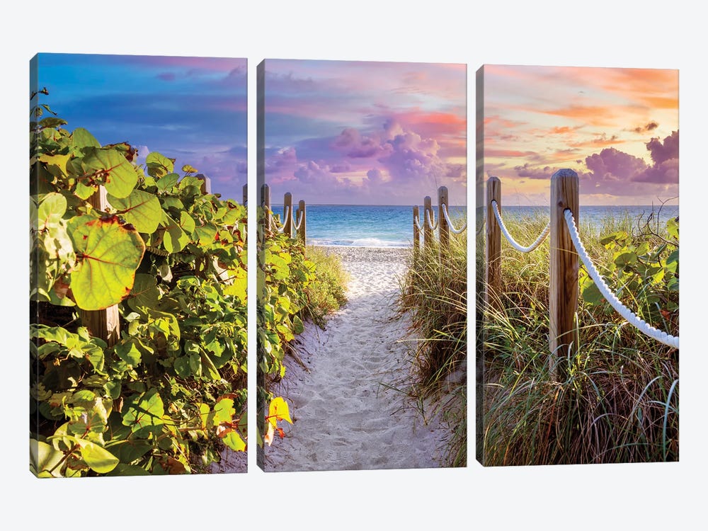 Sandy Beach Path With Seagrapes And Grass At Sunrise, Florida by Susanne Kremer 3-piece Canvas Artwork
