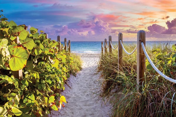Florida Beaches: Sandy Beach Path With Seagrapes And Grass At Sunrise, Florida by Susanne Kremer