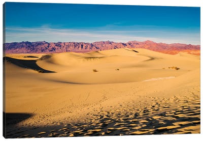 Sand Dunes, Death Valley Canvas Art Print - Death Valley National Park Art
