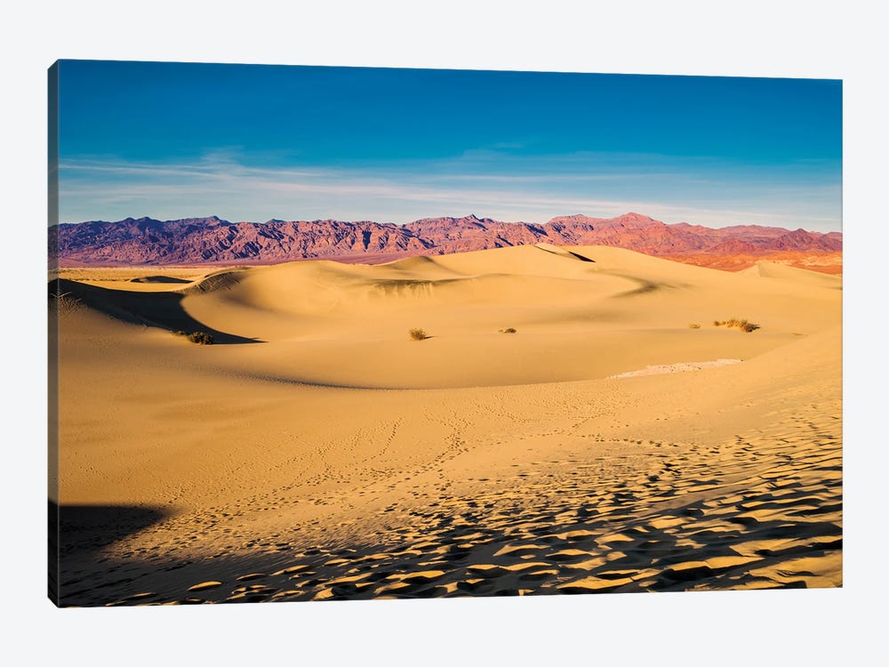 Sand Dunes, Death Valley by Susanne Kremer 1-piece Canvas Art