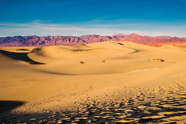 Death Valley National Park: Sand Dunes, Death Valley by Susanne Kremer