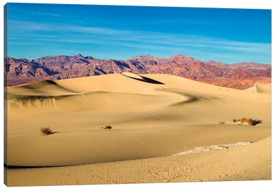Death Valley, Sand Dunes Canvas Art Print - Death Valley National Park