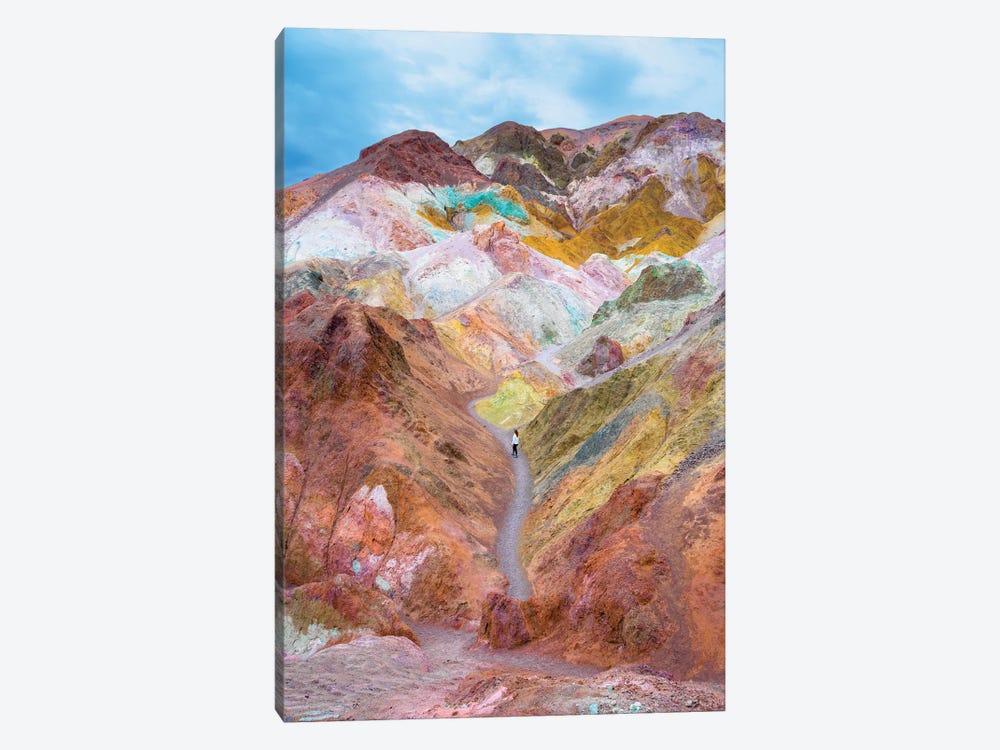 Tranquility Path, Death Valley by Susanne Kremer 1-piece Canvas Art