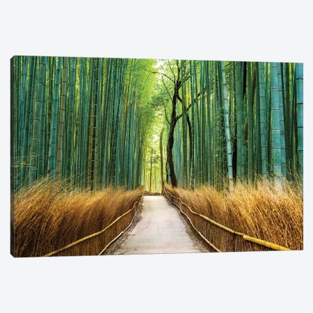 Arashiyama Ancient Bamboo Forest  Canvas Print #SKR6} by Susanne Kremer Canvas Print