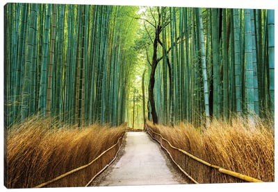 Arashiyama Ancient Bamboo Forest  Canvas Art Print - Bamboo Art