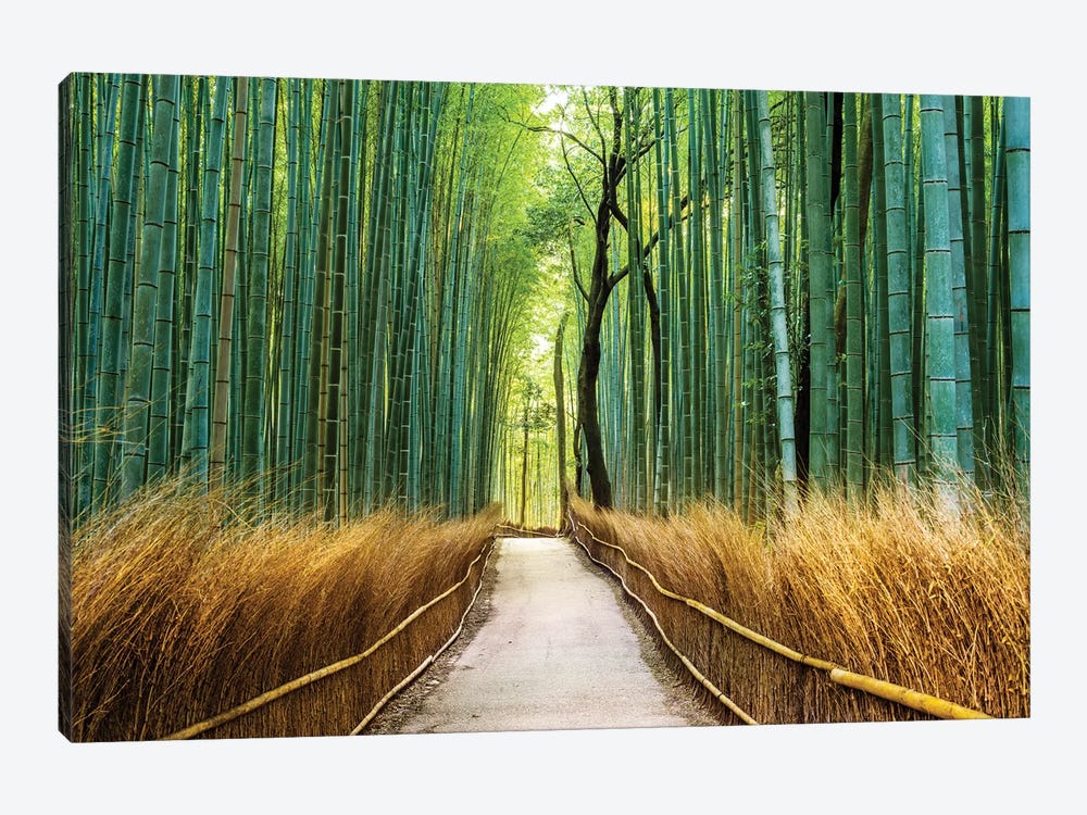 Arashiyama Ancient Bamboo Forest  by Susanne Kremer 1-piece Canvas Wall Art