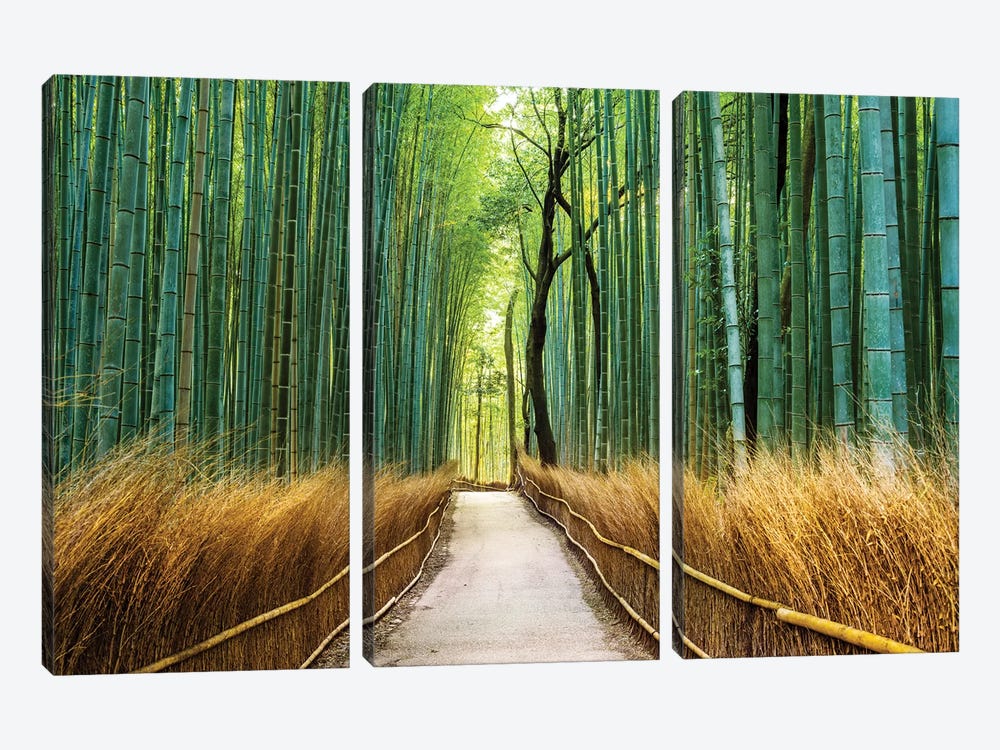 Arashiyama Ancient Bamboo Forest  by Susanne Kremer 3-piece Canvas Wall Art